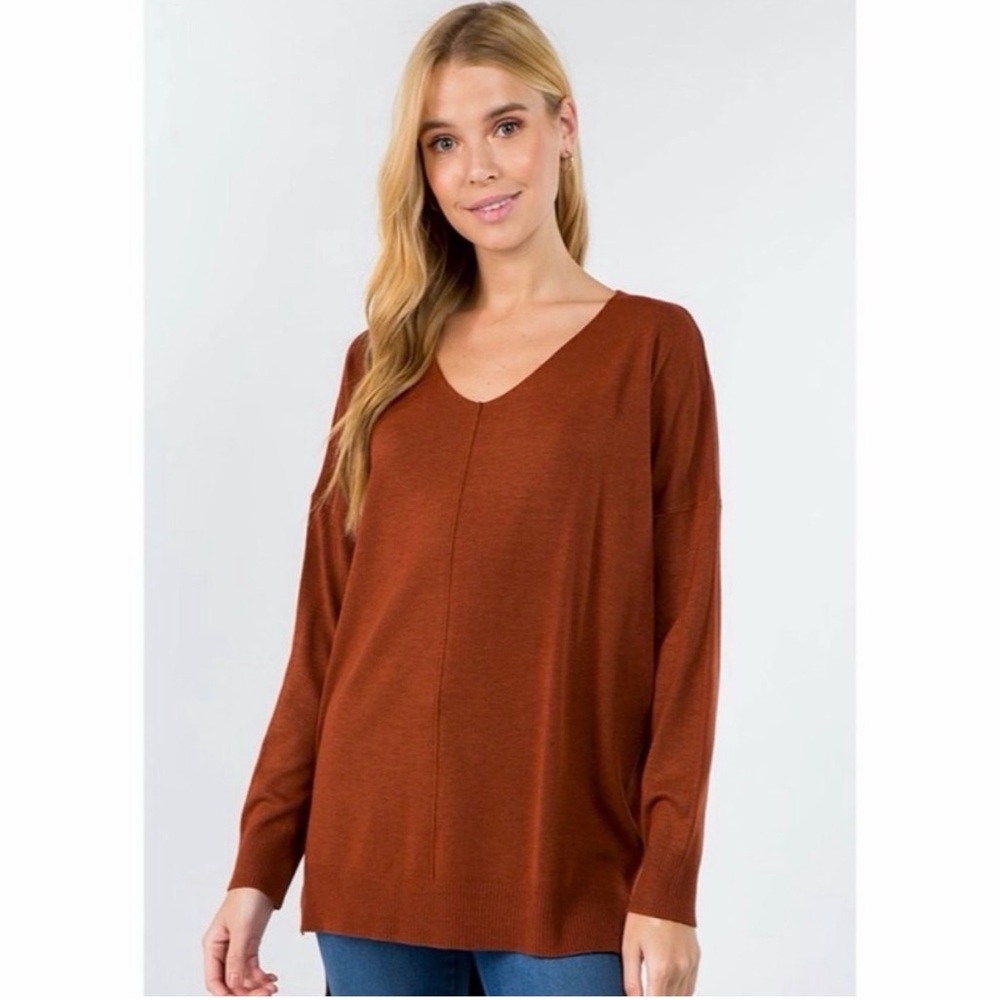 Dreamers by Debut Rust V Neck Front Seam Sweater